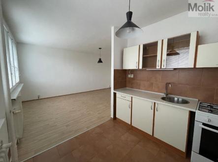 Pronájem bytu, 1+1, 34 m²