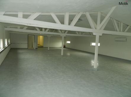 Pronájem - výrobní prostor, 500 m²