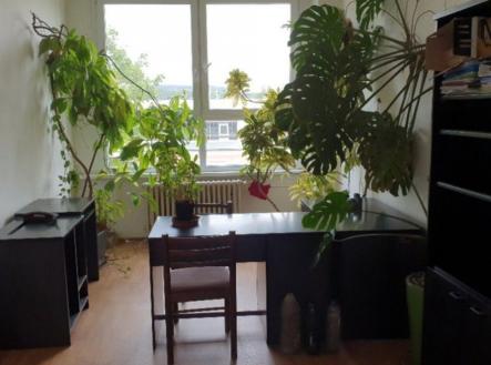 Pronájem kanceláře, 20 m²