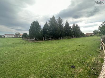 Prodej - pozemek pro bydlení, 12 000 m²