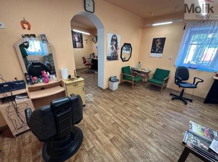 Prodej domu/vily, 397 m²