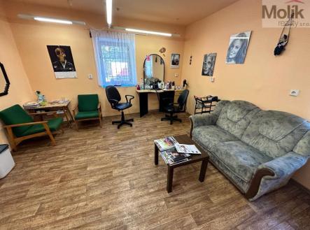 Prodej domu/vily, 397 m²