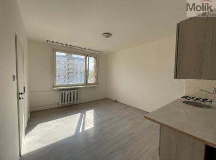 Pronájem bytu, 1+1, 35 m²