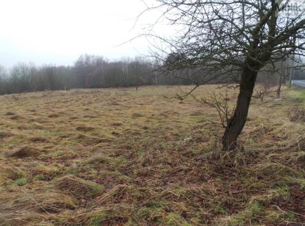 Prodej pozemku pro bydlení, 6 694 m²