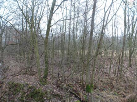 Prodej pozemku pro komerční výstavbu, 9 445 m²