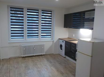 Pronájem bytu, 1+kk, 21 m²