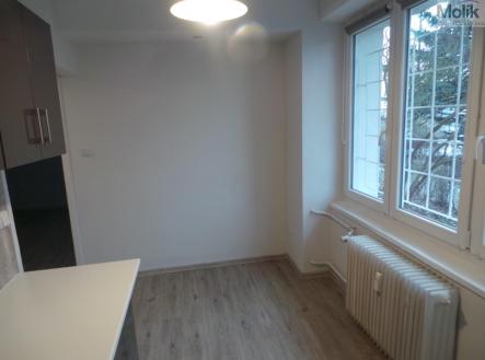 Pronájem bytu, 1+1, 39 m²