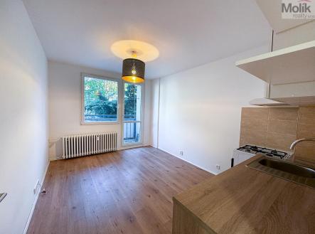 Prodej bytu, 1+1, 34 m²