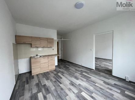 Pronájem bytu, 1+1, 35 m² obrázek