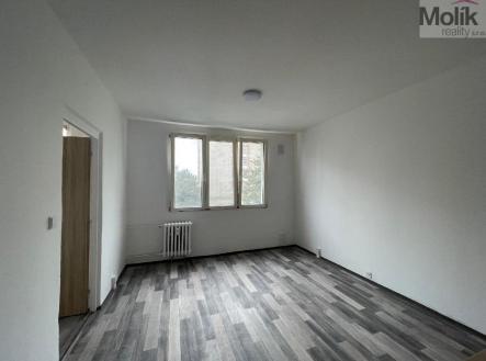 Pronájem bytu, 1+1, 35 m²