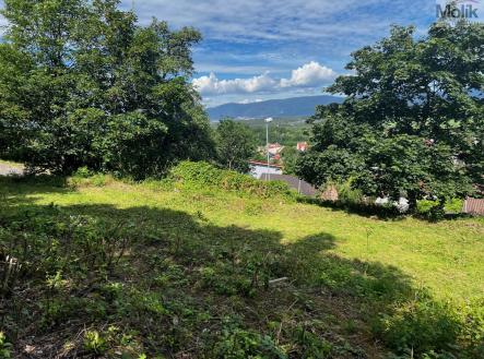 Prodej pozemku pro bydlení, 1 463 m²