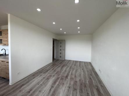 Prodej bytu, 1+1, 33 m²