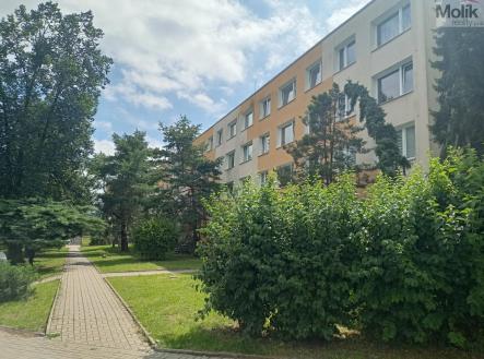 Prodej bytu, 3+kk, 63 m² obrázek