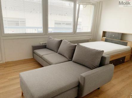 Pronájem bytu, 1+kk, 34 m²