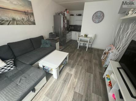 Prodej bytu, 2+kk, 40 m²