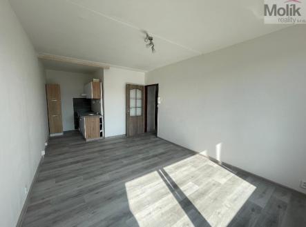 Pronájem bytu, 2+kk, 39 m²