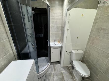 Prodej bytu, 1+kk, 34 m²