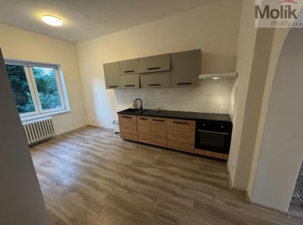 Pronájem bytu, 1+1, 39 m² obrázek