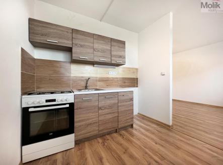 Prodej bytu, 1+kk, 34 m²