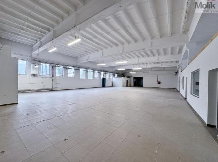 Pronájem - skladovací prostor, 892 m²