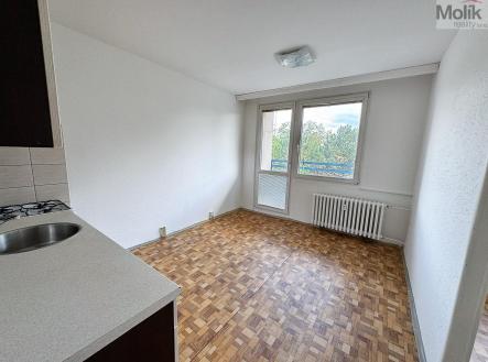 Prodej bytu, 1+1, 34 m²