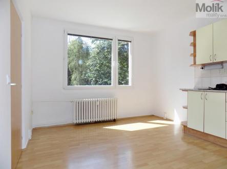 Pronájem bytu, 2+kk, 33 m²