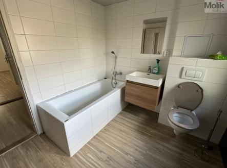 Pronájem bytu, 2+1, 55 m²