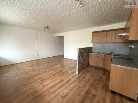 Pronájem bytu, 3+kk, 66 m²