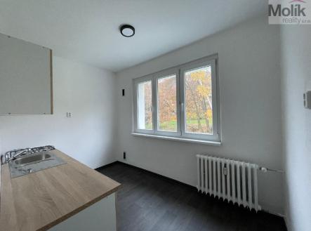 Pronájem bytu, 2+1, 55 m²