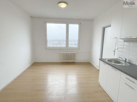 Pronájem bytu, 1+1, 36 m²