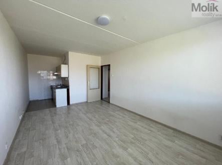 Prodej bytu, 2+kk, 40 m²