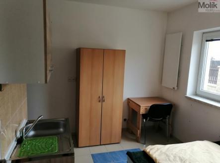 Pronájem bytu, 1+kk, 14 m²