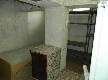 Pronájem skladovací prostor, 16 m²