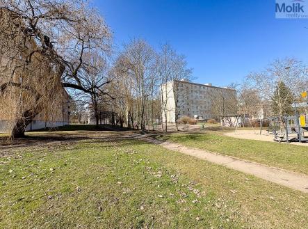 IMG_6060.jpg
