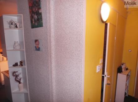 20221206_160554.JPG