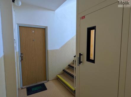 PXL_20250420_083502644.jpg