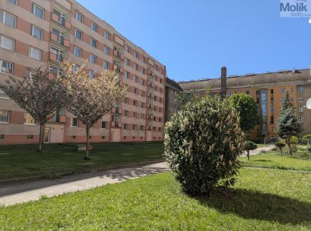 PXL_20250427_124837534.jpg