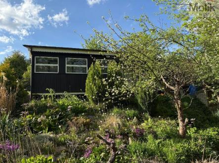 Prodej - pozemek, zahrada, 443 m²