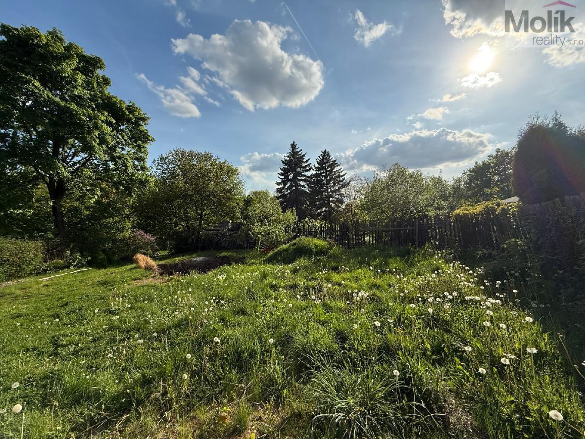 stažený soubor (9).jpg