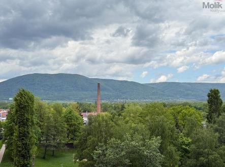 IMG_1023.jpg