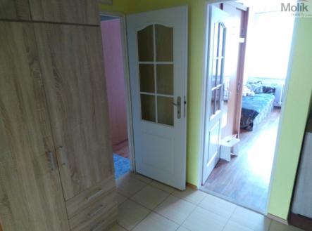 20250514_123142.JPG