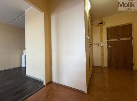 stažený soubor (7).jpg