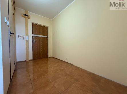 stažený soubor (9).jpg