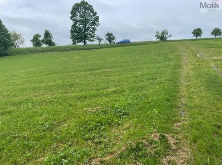 Prodej - pozemek, zemědělská půda, 33 045 m²