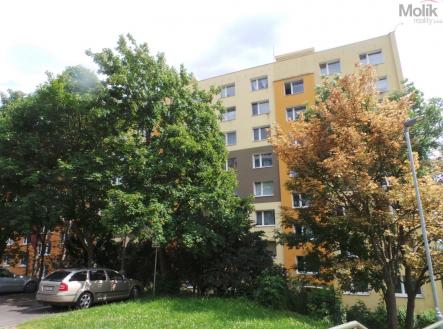 Pronájem bytu, 1+1, 33 m²