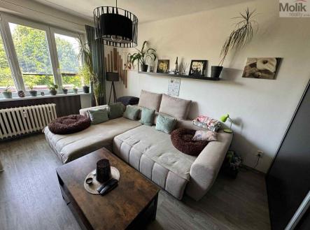 Prodej bytu, 2+1, 53 m²