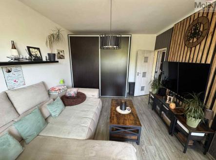 Prodej bytu, 2+1, 53 m²