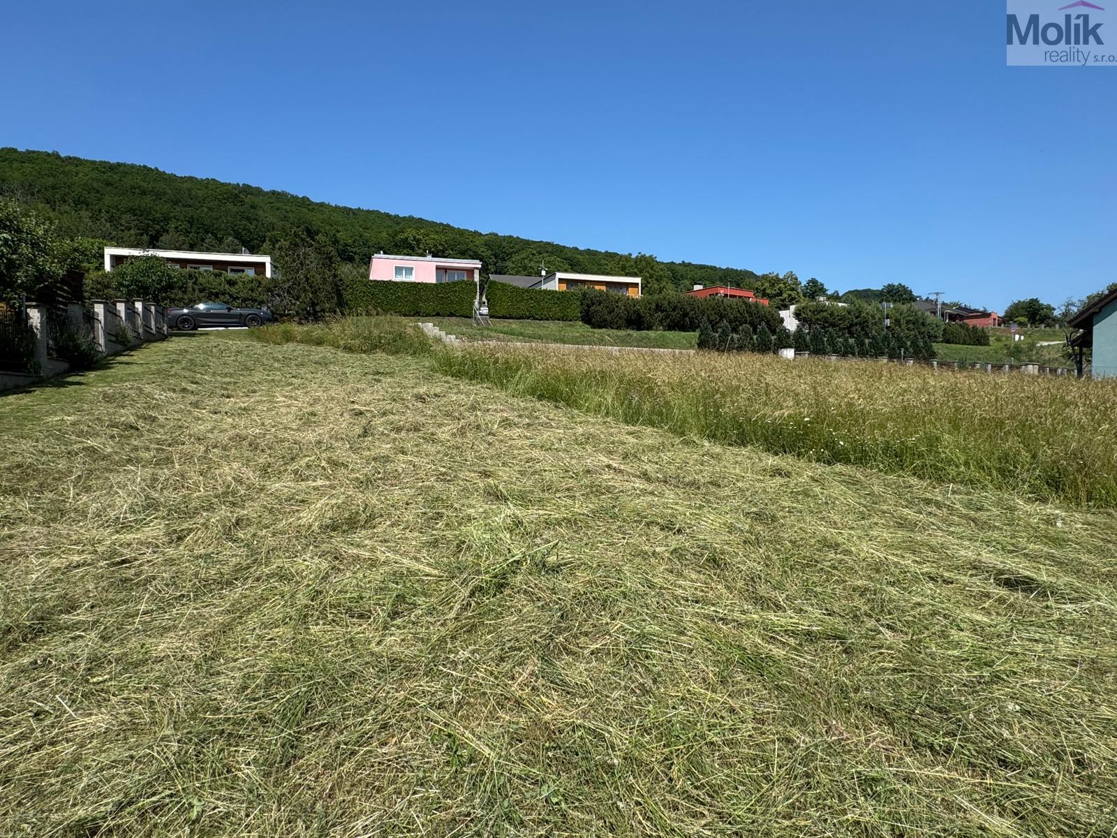 Obrázek WhatsApp, 2025-06-16 v 10.01.07_4a5e267b.jpg