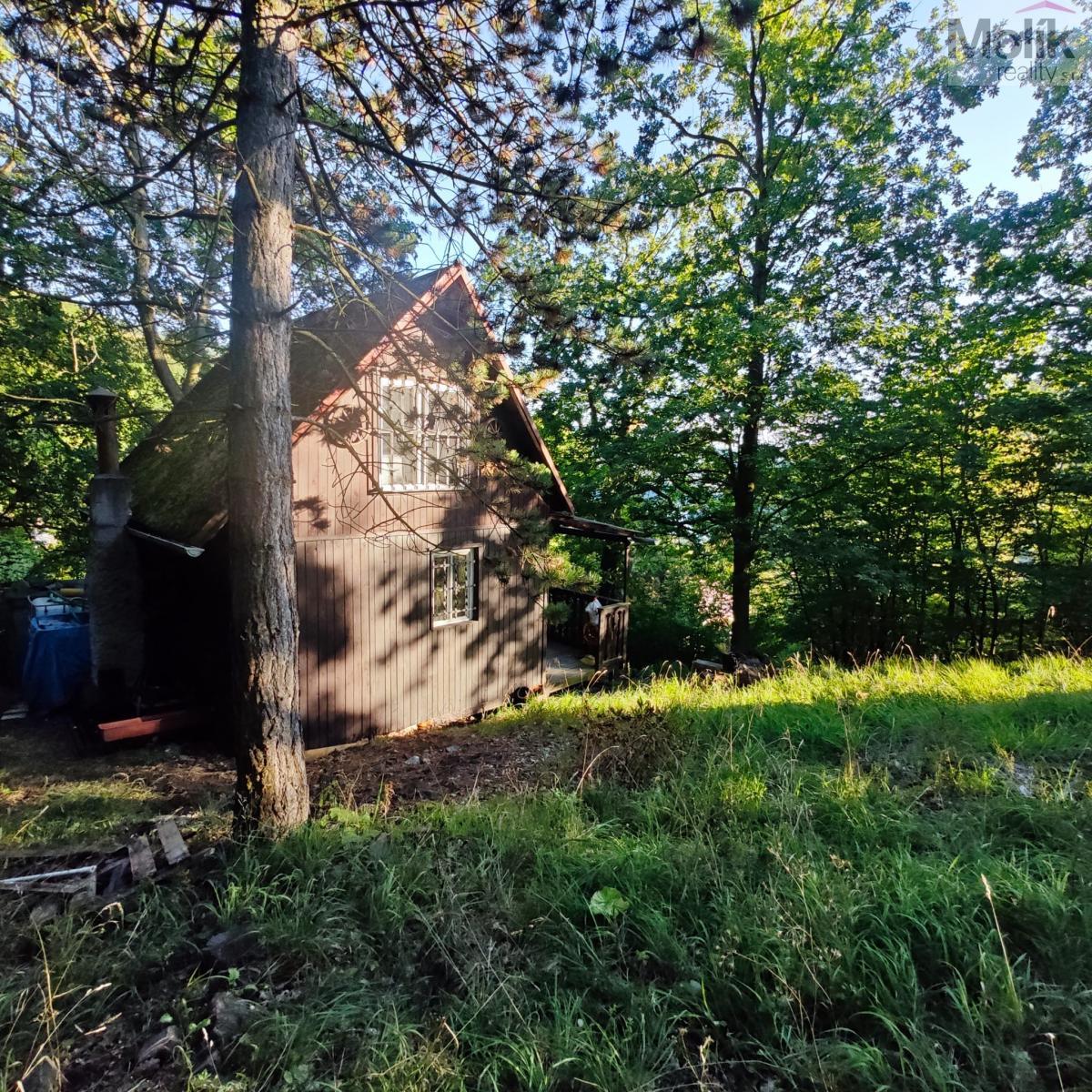 67f0680c-4b81-4d64-8141-b6724fa936ed.jpeg