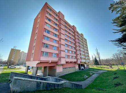 Pronájem bytu, 3+1, 66 m²